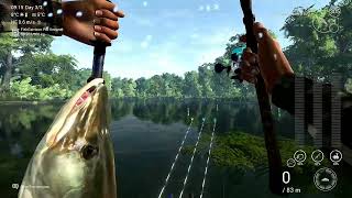 Fishing Planet  Saint Croix  Clear Muskie Unique [upl. by Sharyl508]