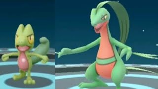 I evolve my treecko into grovyle [upl. by Minsk]