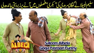 Chaudhry Saleem ki Fasal main Goga Pasroori ki Bakkri aa gai funny fighting [upl. by Vallery]