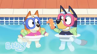 Las aventuras soleadas de Bluey ☀️  Episodios completos  Bluey 💙 Español Canal Oficial 🇪🇸 [upl. by Balduin]