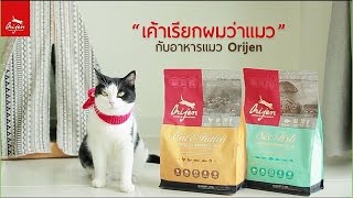 Review อาหารแมว ORIJEN กับ รางวัลชนะเลิศอาหารที่มีความเหมาะสมด้านชีวภาพ [upl. by Natie262]