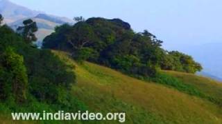 Pakshipathalam Birds in caves Wayanad [upl. by Margie176]