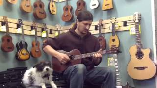 Vintage Martin Soprano Ukulele demo featuring Scruffy [upl. by Atiuqaj170]