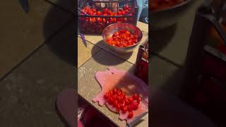 Tradizione italiana la conserva wildlife autoproduzione passata italianfood farming tomato [upl. by Madden]