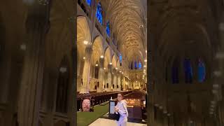 Check out this cathedral St Patrick christcathedral in New York City checkthe channelshortvideos [upl. by Starobin]