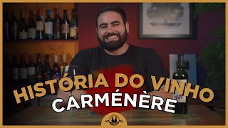 A HISTÓRIA DO VINHO CARMÉNÈRE [upl. by Esiahc125]