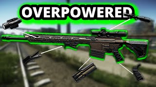 Wiping DORMS with a 338 CANNON PMCs Everywhere  Escape From Tarkov [upl. by Blayne]