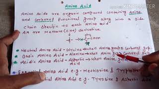 Amino acids easily explainedHindi [upl. by Savdeep329]