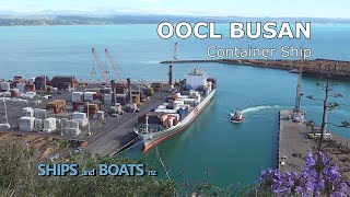 OOCL Busan  Container Ship  Napier New Zealand [upl. by Kaliski77]