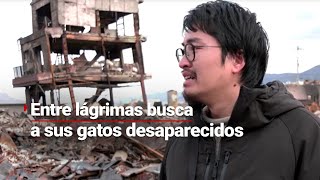 Entre LÁGRIMAS artesano japonés busca a sus gatos  Desaparecieron tras el SISMO [upl. by Seka]