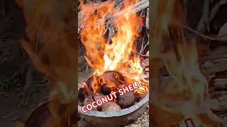 MAKING CHARCOAL OF COCONUT SHELL [upl. by Hellene734]