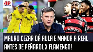 quotO FLAMENGO TEM QUE TENTAR USAR ISSO Eu diria com TOTAL SEGURANÇA quequot Mauro Cezar MANDA A REAL [upl. by Itch517]