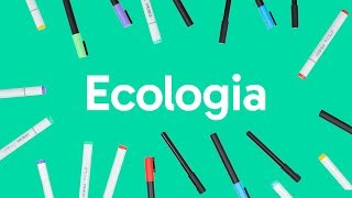 ECOLOGIA CADEIA ALIMENTAR BIOMAS E RELAÇÕES ECOLÓGICAS  QUER QUE DESENHE [upl. by Ecienal]