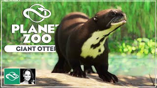 ▶ Planet Zoo Giant Otter  Aquatic Pack  Screenshot Reveals [upl. by Tiffi]