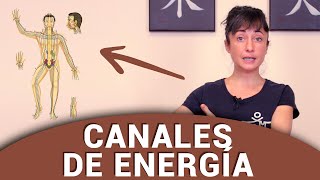 CANALES DE ENERGÍA y MEDICINA CHINA en los órganos ☯︎☯︎☯︎ [upl. by Jerrie]