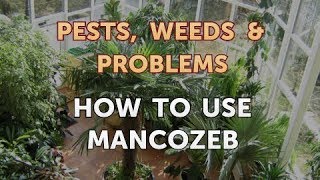 How to Use Mancozeb [upl. by Ayat]