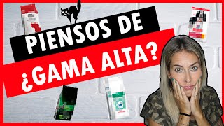 PIENSO ROYAL CANIN Y OTRAS quotGAMAS ALTASquot💥  ¿SEGURO que son GAMA ALTA 🧐😣 [upl. by Vala]