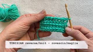 TUNISIAN CROCHET reverse knit SD 480p [upl. by Danit17]