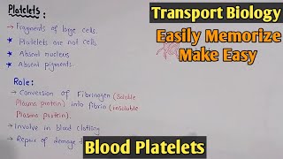 Blood Platelets  Thrombocytes  Blood Cells  Class 11 Biology [upl. by Leirbma]