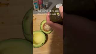 Why is the seed so big 😭 avocado healthyfood healthylifestyle miagates vlog healthycooking [upl. by Stargell]