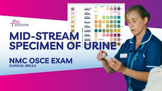 NMC OSCE  Mid Stream Specimen of Urine  OSCE Guide [upl. by Nairbo150]