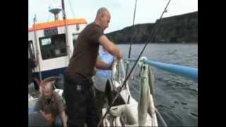 Scrabster  Charter Boat Fishing [upl. by Craw]