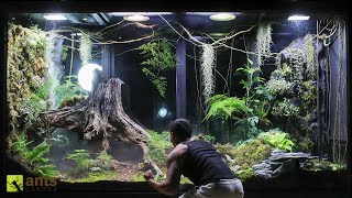 A War Broke Out in My Giant Rainforest Vivarium [upl. by Ellmyer]