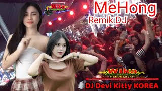 MeHong Remik DJ Devi Kitty KOREA ♨️ WIKA sang PENJELAJAH sumsel [upl. by Nuavahs]