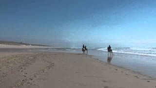 22 Mai 2011  Mimizan les Landes  dernier galop sur la plage avec les 3 blanches [upl. by Enomes391]