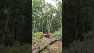 Putting my brand new Chinese Mini Excavator to work clearing land [upl. by Aubry474]