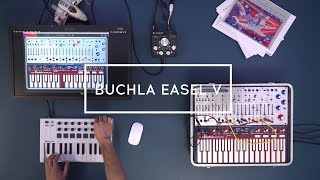 Arturia V COLLECTION  Buchla Easel V [upl. by Trudy496]