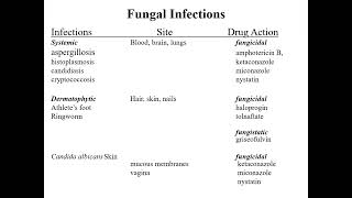 anti infective drugs antibioticsantifungalantiviralantiprotozoalanthelmintic [upl. by Aivart]