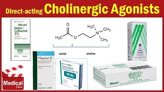 Pharmacology ANS 6 Direct Acting Cholinergic Agonists  Acetylcholine  Carbachol  Methacholine [upl. by Elime]