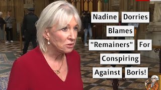 Nadine Dorries Rants About A quotRemainerquot Plot To Remove Boris [upl. by Kcirtemed700]