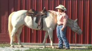 Judging how well your Western Saddle fits your horse [upl. by Elahcar]