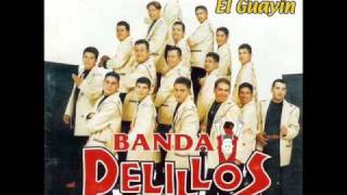 Banda Pelillos  Hoy Me Di Cuenta [upl. by Wager]