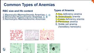 Hematologic Disorders Part 1 [upl. by Klinger544]