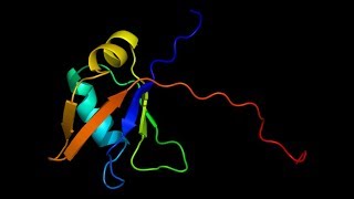 الشكل ثلاثي الابعاد proteins tertiary structure  protein structure and function 7 [upl. by Terrene]