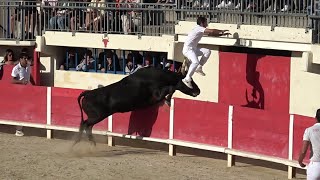 LE GRAU DU ROI  1ère JOURNÉE DU TROPHÉE DE LA MER  ROYALE DE LA MANADE CUILLÉ le 12092024 [upl. by Eceryt]