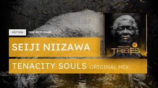 Seiji Niizawa  Tenacity Souls Original Mix  Redolent Music [upl. by Arek]