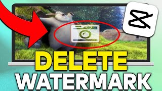 How to Remove Watermark from Videos  Images [upl. by Enirolf832]