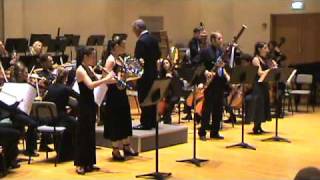 Mozart Sinfonia Concertante in Eb Major  I Allegropart 1 [upl. by Anyala]