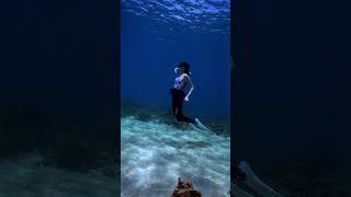 MM freediving molchanovs underwaterphotography mermaid freediving [upl. by Lanfri704]