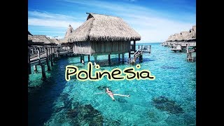 Polinesia  Moorea [upl. by Sateia]