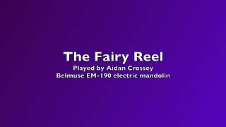 The Fairy Reel  in D Major recorded for the Mandolin Players In Ireland Social Group [upl. by Ynotna]