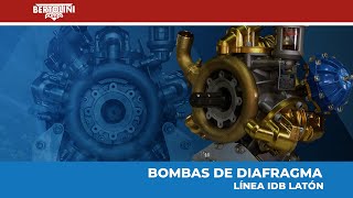 BOMBAS DE DIAFRAGMA BERTOLINI  LÍNEA IDB  FABRICADAS EN ITALIA EN ESPAÑOL [upl. by Berny]