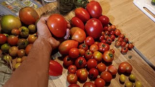 Secret To DiseaseFree Tomatoes [upl. by Skutchan]