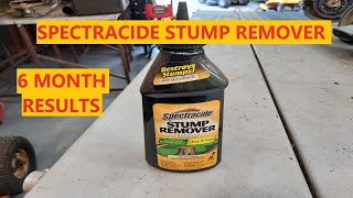 Spectracide Stump Remover  Decomposition Accelerator 6 Month Review [upl. by Amaris]