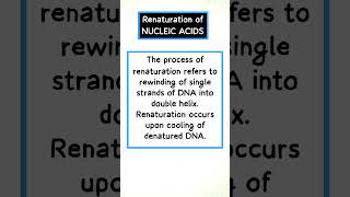 Renaturation of NUCLEIC ACIDS biology [upl. by Young]