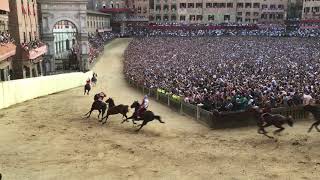 Palio Horse Race Siena Italy August 2018 [upl. by Dawn]